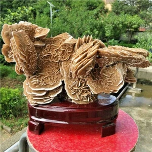 12,47 Pfund WÜSTENROSE SELENIT Probe Kristall Stein Mineral Cluster + Ständer X311 - Bild 1 von 12