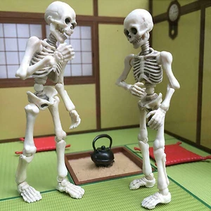 Skeleton decoration Movable Skeleton Human Model Skull Full Body Mini Figure Toy - Picture 1 of 7