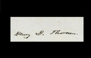 Reimpresión autógrafa Henry David Thoreau en papel original genuino del período 1850 - Imagen 1 de 1