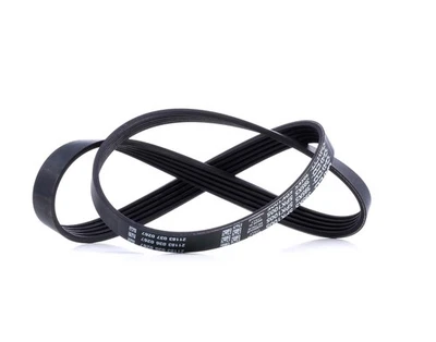 DAYCO Courroie Poly-V Courroie d'accessoire 5PK1005 pour BMW 5 Limousine (E39) - Photo 1/4