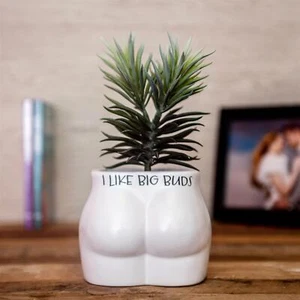 Maceta para plantas de trasero novedad planta para glúteos interior forma de cuerpo femenino cogollos grandes decorativos - Imagen 1 de 4