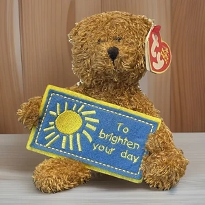 TY Beanie Baby Geschenkkarte Bear Greetings Collection TO BRIGHTEN YOUR DAY 2006 - Bild 1 von 12