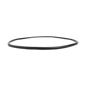 Remplacement efficace du joint torique d'étanchéité pour les pompes WhisperFl - Picture 1 of 15