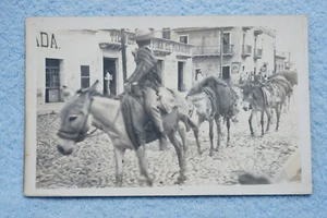 Burros on the Street - Veracruz, Mexico - 1914 - RPPC - Picture 1 of 2