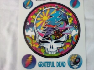 Pegatina de ventana Grateful Dead Mod Roba tu cara de 4,5 pulgadas con 4 mini pegatinas - Imagen 1 de 3