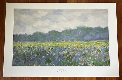 Póster impresionismo Claude Monet Champ d iris Jaunes a Giverny 24" x 36" Foto 1 de 4