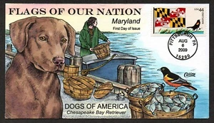 USA, SCOTT # 4296, HANDPAINTED COLLINS FDC COVER 2009 MARYLAND, DOGS OF AMERICA - Picture 1 of 1
