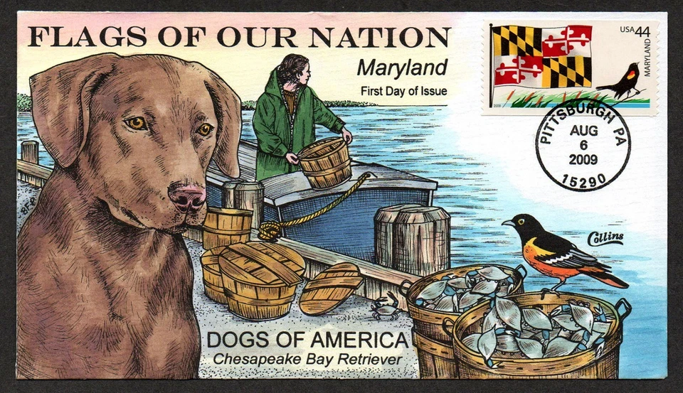 USA, SCOTT # 4296, HANDPAINTED COLLINS FDC COVER 2009 MARYLAND, DOGS OF AMERICA - Image 1 of 1