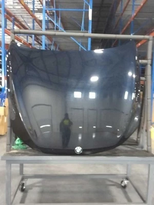 Hood Fits 09-15 BMW 750i 185944 - Imagem 1 de 4