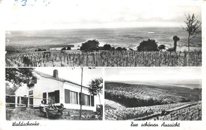 Waldschenke Zuc Forest Inn Aerial View Vineyards Germany 1958 RPPC Postcard - Picture 1 of 2