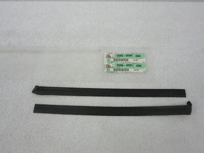 Marco de ventana de puerta delantera Buick LaCrosse 2010-2016 sello de revelación diestro y derecho dp nuevo Foto 1 de 4