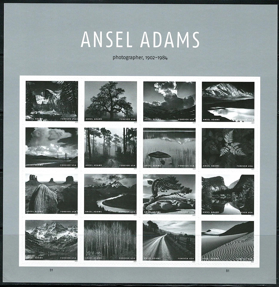 Mint US Ansel Adams Pane of 16 Forever Stamps Scott# 5854 (MNH) - Image 1 of 1