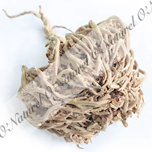 Rose de Jéricho Chajarat Mariam BIO 100% Naturelle Jericho Rose, Rosa de Jericó - Imagen 1 de 1