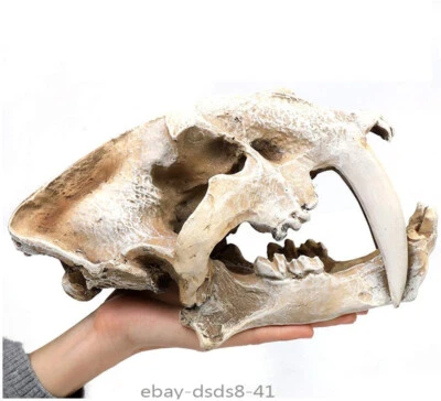 Resin Dinosaur Skull Model Replica Imitation Bone Skeleton Decor - Image 1 of 4