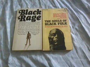 2pbs black rage by wm greier + p cobbs + the souls of black folks by w.e. dubois - Picture 1 of 8