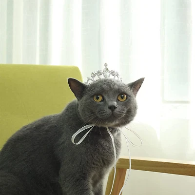 Tiara corona de cristal con estrás para perro/gato serie mascota para disfraz accesorio de pelo de perro pequeño Foto 1 de 4