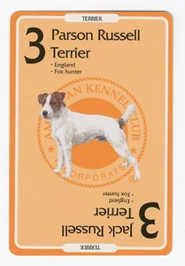 PARSON JACK RUSSELL TERRIER AMERICAN KENNEL CLUB HUND SAMMLERKARTE - Bild 1 von 2