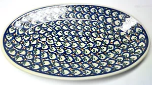 Boleslawiec Hand Made Polish Pottery Oval Shaped Floral Plate/Platter - Picture 1 of 6