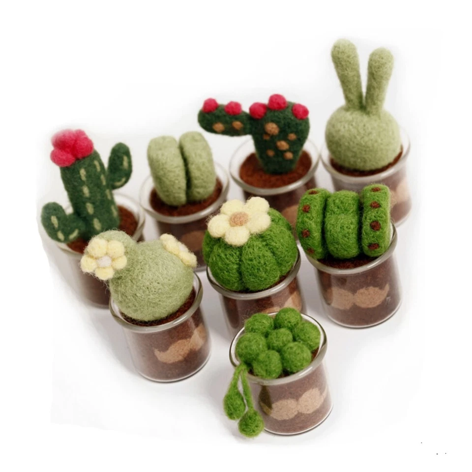 Needle Felting Starter Kit Succulent in Pot DIY Wool Needle Pad TutorialFull Set - Image 1 of 4