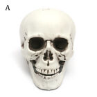 Halloween K&#252;nstlicher Sch&#228;del Kopf Modell Sch&#228;del Knochen Gruselig Horror Skelet