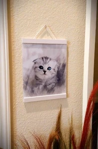 Lindo póster de foto/cartel gris gatito ojos azules estampado de gato 11"" x 8,5"" pulgadas - Imagen 1 de 2