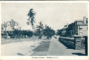 HALIFAX, NOVA SCOTIA, CANADA - YOUNGE AVENUE - HORSE-DRAWN - OLD POSTCARD - Picture 1 of 2