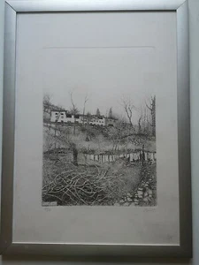 LITOGRAFIA NUMERATA DI MARISA BENETTI - Photo 1/8