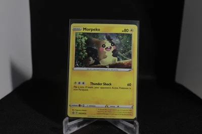 Morpeko SWSH012 SWSH: Sword & Shield Promo Cards Holo - Image 1 of 2