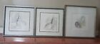 lot of 3 June Erica Vess 22 In. X 22 In.  Matted Framed Wall Art Signed Numbered