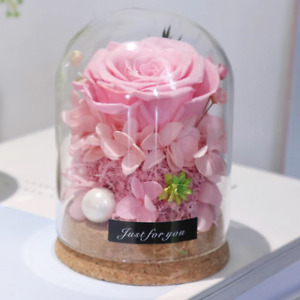 Preserved Rose Flower In Glass Love Gifts Idea For Birthday And Valentine's Day