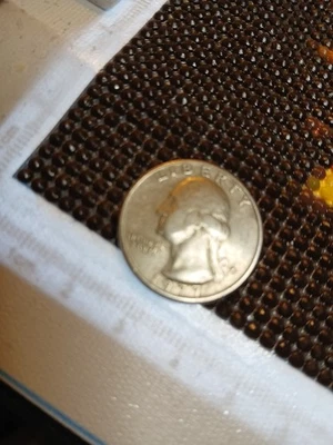 1977 Liberty Washington Quarter, Mint Error ~ *No Mint Mark* Rare Find - Image 1 of 2