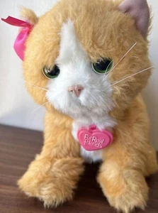 FurReal Friends Daisy Plays-With-Me Kitty de HASBRO Interactive Cat Works D02 - Imagen 1 de 6
