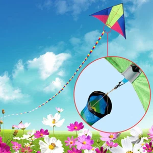 10m Tube Kite Tail Rainbow Windsock Outdoor Kites Flying Toys Outdoor Fun - Picture 1 of 11