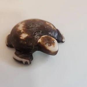 Turtle Trinket - Picture 1 of 11