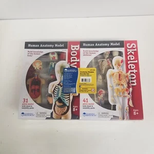 Learning Resources Human Anatomy Model Bundle, Brain, Heart, Body, Skeleton, New - Picture 1 of 7