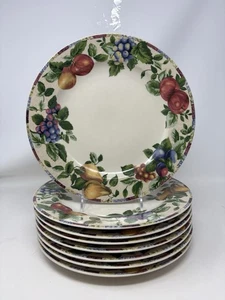 Sakura Oneida SONOMA Excell Stoneware Dinner Plate 10 7/8” GUC - Picture 1 of 11