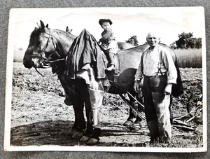 Altes Foto Pferde mit Karren Bauer und Kleinkind schwarz weiß Landwirtschaft - Bild 1 von 2