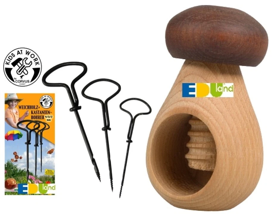Kastanienbohrer Kastanienhalter Haltepilz Corvus Kastanien basteln