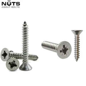 POZI COUNTERSENK SELBSTGEWINDESCHNRAUBEN A2 EDELSTAHLGEWINDESSER Nr. 6 3,5 mm CSK - Bild 1 von 3