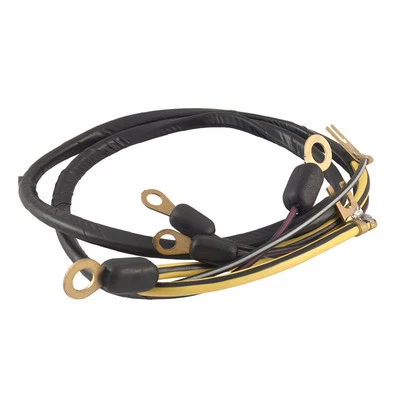 Camión Ford F100/350 1961-64 generador a regulador arnés - 8 cilindros - C1 TB - 14305-M Foto 1 de 3