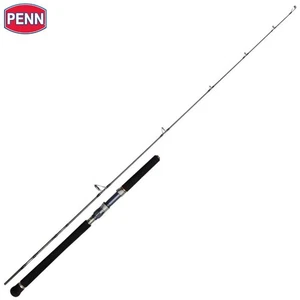 PENN Jigging Spinning Rod BATTALION Solid Jigging 1.83m/200g - Picture 1 of 4