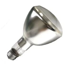 Bombilla de inundación elipsoidal Sylvania 50ER30-120V 50W PAR38 - Imagen 1 de 4