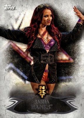 2015 Topps WWE Undisputed #NXT-2 Sasha Banks - Image 1 of 2