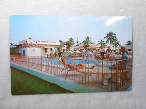 Vintage Postcard - Harris House Motel - Hollywood, FL - Bild 1 von 1