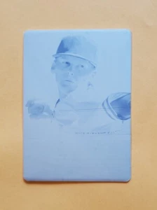 2020 Leaf Flash Cyan Printing Plate 1/1 Max Meyer #PA-MM1 Portrait - Picture 1 of 4