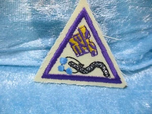 Parche Girl Scout - Imagen 1 de 1