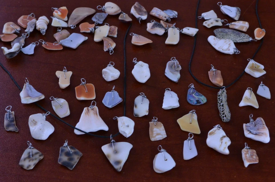 100 ШТ. АССОРТИМЕНТ МИНИ МОРСКОЙ РАКОВИНЫ ПРОВОЛОКИ ОБЕРНУТЫЕ ПОДВЕСКИ #P-10 - Изображение 1 из 1