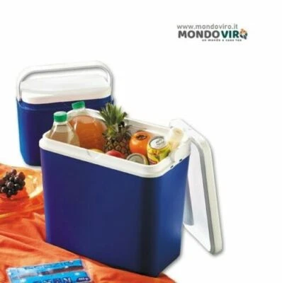 Frigo box portatile mini frigorifero per mare baule refrigerato campeggio manico - Immagine 1 di 3