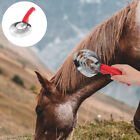  2 Pcs Horse Body Brush Grooming Horsehair Shedding Scraper Bridegroom Cow Comb