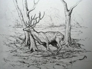 UN CERF fuyant des CHASSEURS - Fusain (Oeuvre originale) signé - Imagen 1 de 1